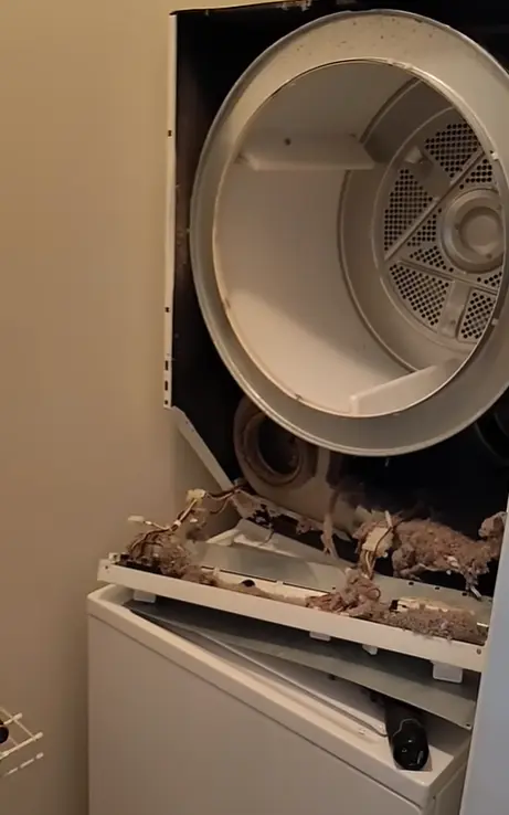 Dryer opened showing dangerous lint buildup around the drum and heating element — a leading cause of dryer fires in Lexington KY homes