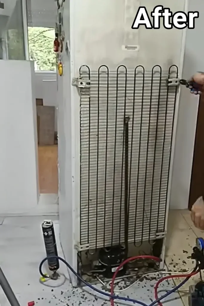 Refrigerator condenser coils cleaned and repaired after service by Appliance Repair Lexington KY